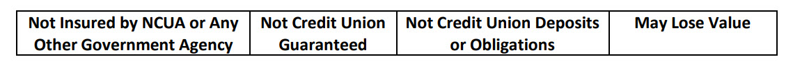 Not insured by NCUA or any other government agency. Not credit union guaranteed. Not credit union deposits or obligations. May lose value.