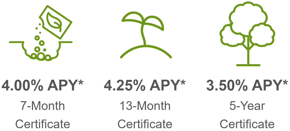 Certificate 3 Rates Graphic Certificate 3 Rates Graphic