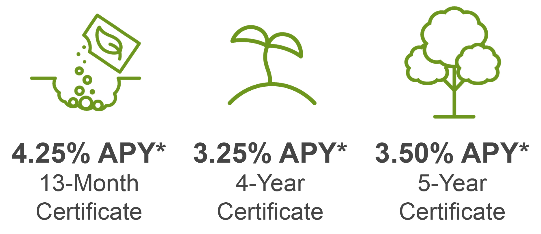 Certificate 3 Rates Graphic